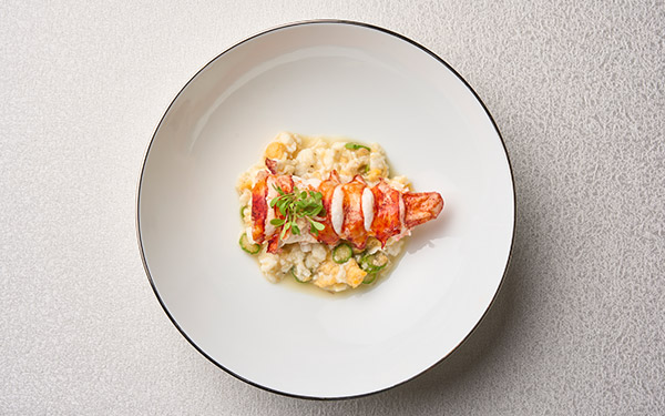 A lobster tail rests atop creamy risotto in the center of a white-rimmed plate, garnished with herbs, on a textured surface.